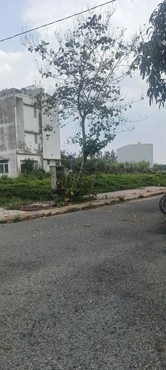 Đất nền KDC Làng Sen Đức Hòa 86m² - Tiềm năng tăng giá!