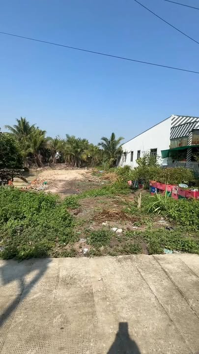 Đất nền Mỹ Hạnh Bắc Đức Hòa 479m² - Tiềm năng tăng giá vượt trội!