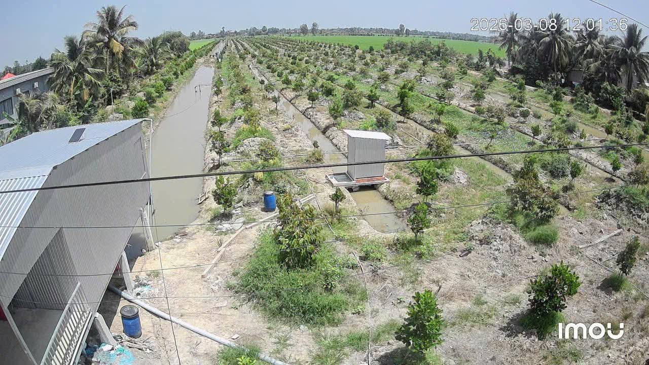 Đất vườn Tháp Mười 10.000m² - Giá đầu tư tốt!