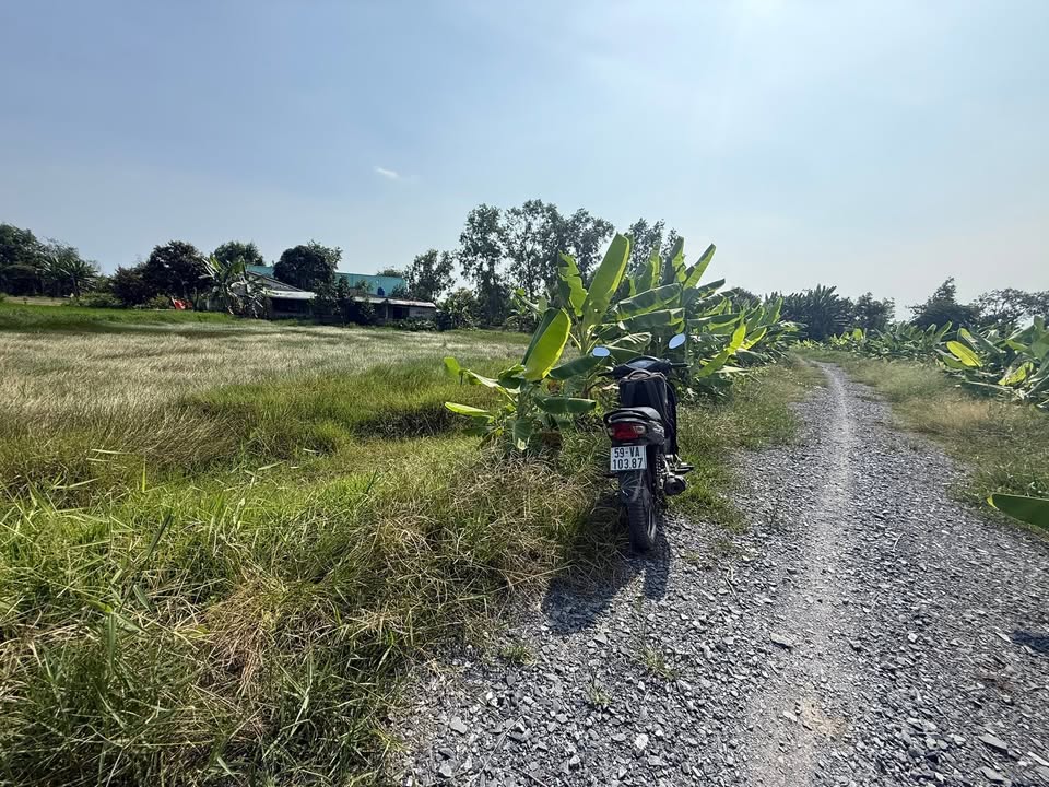 Đất vườn Cần Đước 1.700m² giá 3.002 tỷ - Tiềm năng tăng giá