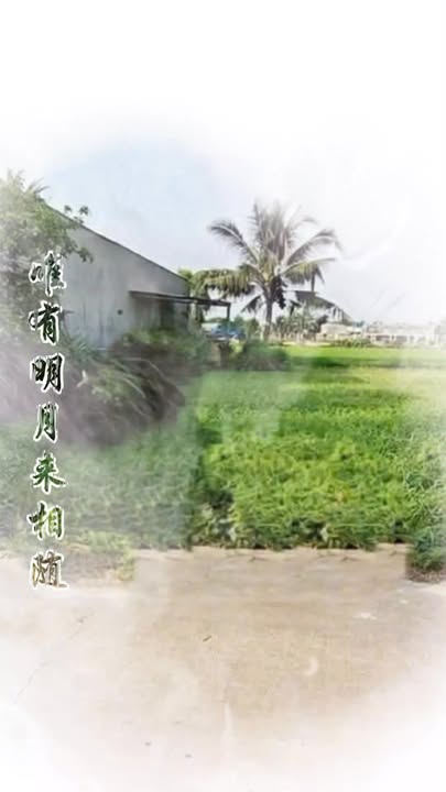 Đất nền Ấp Giồng Lớn, Mỹ Hạnh Nam 150m² giá 1.07 tỷ - Đất thổ cư 100%