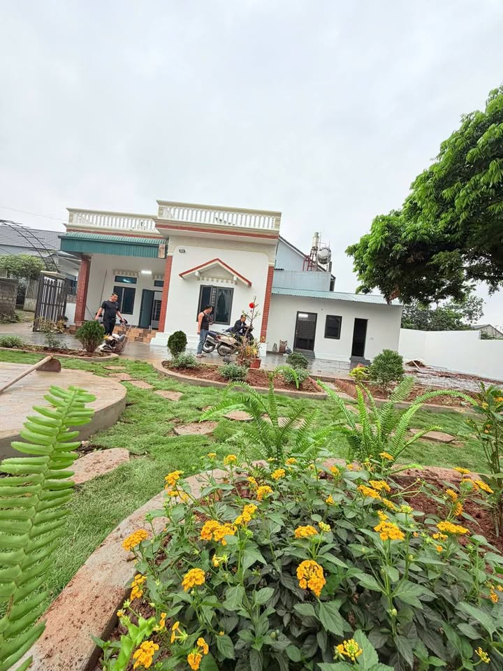 Nhà Vườn Lương Sơn Hòa Bình 311m² - Sẵn sàng ở ngay!