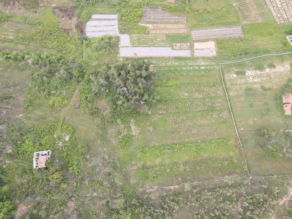 Đất vườn Tiền An Quảng Yên 5000m² - Nghỉ dưỡng lý tưởng!