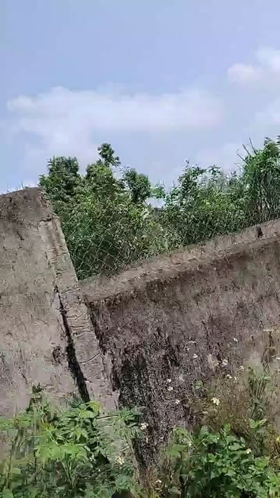 Đất nền Kim Liên, Nam Đàn 160m² - Đường to ô tô, tiềm năng sinh lời!