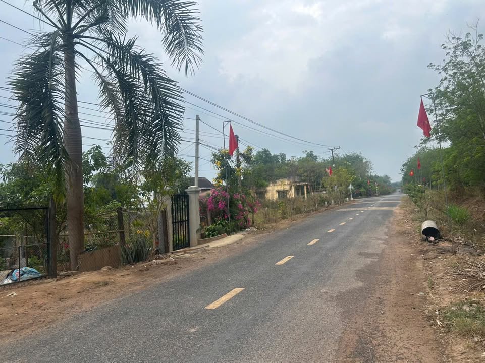 Đất nền Phước Hoà, Phú Giáo 180m² - Tiềm năng tăng giá vượt trội!