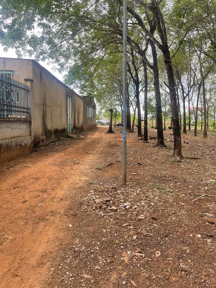 Đất nền Tân Bình Đồng Xoài 138m² 600 triệu - Sổ đỏ chính chủ