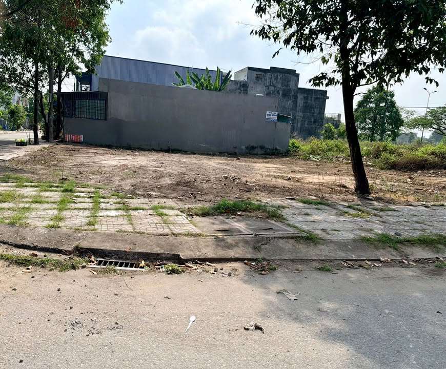 Bán Gấp Đất Vàng Lavender, Biên Hòa 247m² - Sổ Riêng Thổ Cư 100%