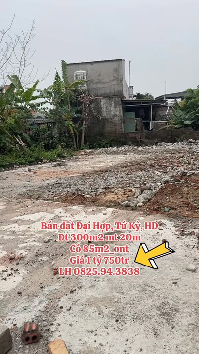 Đất nền Đại Hợp, Tứ Kỳ 300m² - Sổ đỏ chính chủ