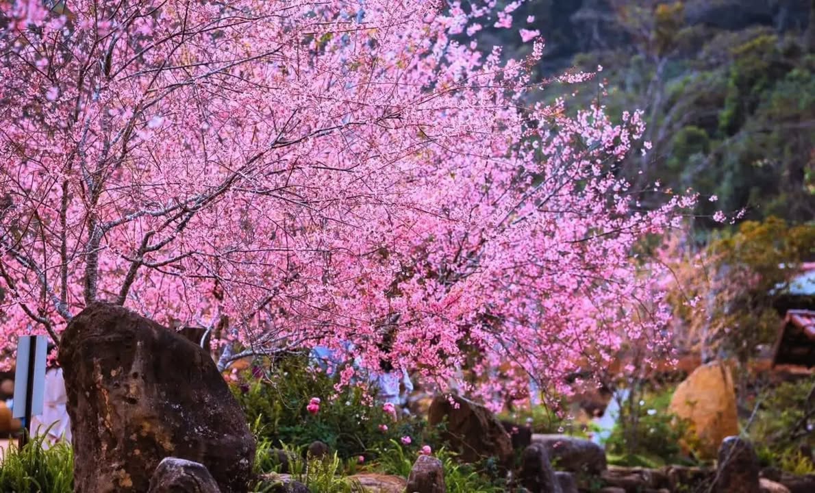 Nhà riêng Bình Tân 59.3m² – Hẻm ô tô 8m, chính chủ bán!