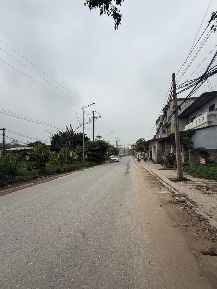 Đất nền Cẩm Khê 145m² - Sổ đỏ chính chủ, tiềm năng đầu tư vàng!