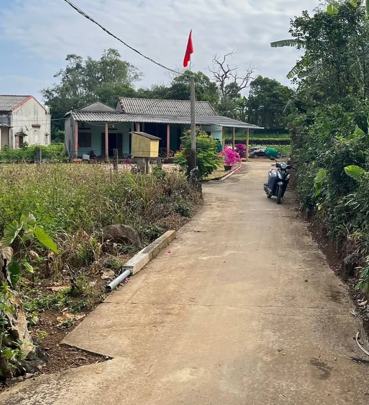 Đất thổ cư Bình Hải Bình Sơn 200m² 4xxtr - Sổ đỏ chính chủ