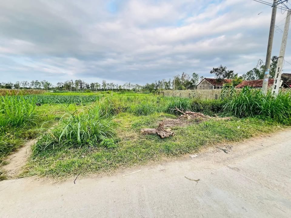 Bán Đất Tịnh Châu Quảng Ngãi 131m² Giá Tốt - Gần Chợ Sa