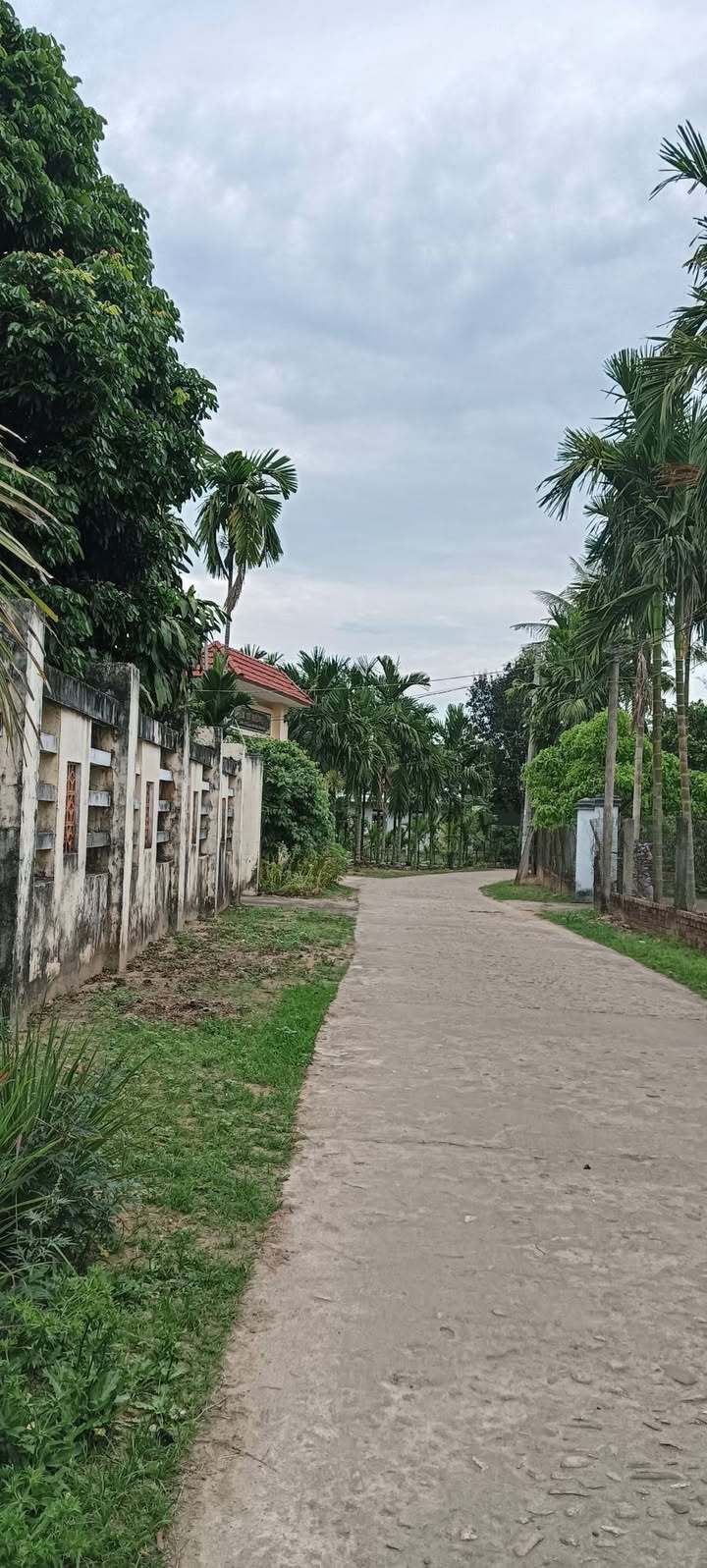 Đất nền Huyện Nghĩa Hành, Quảng Ngãi 150m² Đường to ô tô