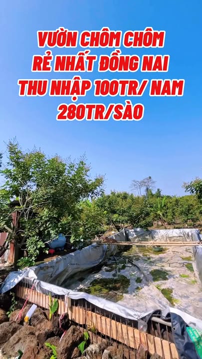 Bán Gấp Vườn Chôm Chôm Thái 9400m² Đồng Nai - Giá 2.8 Tỷ