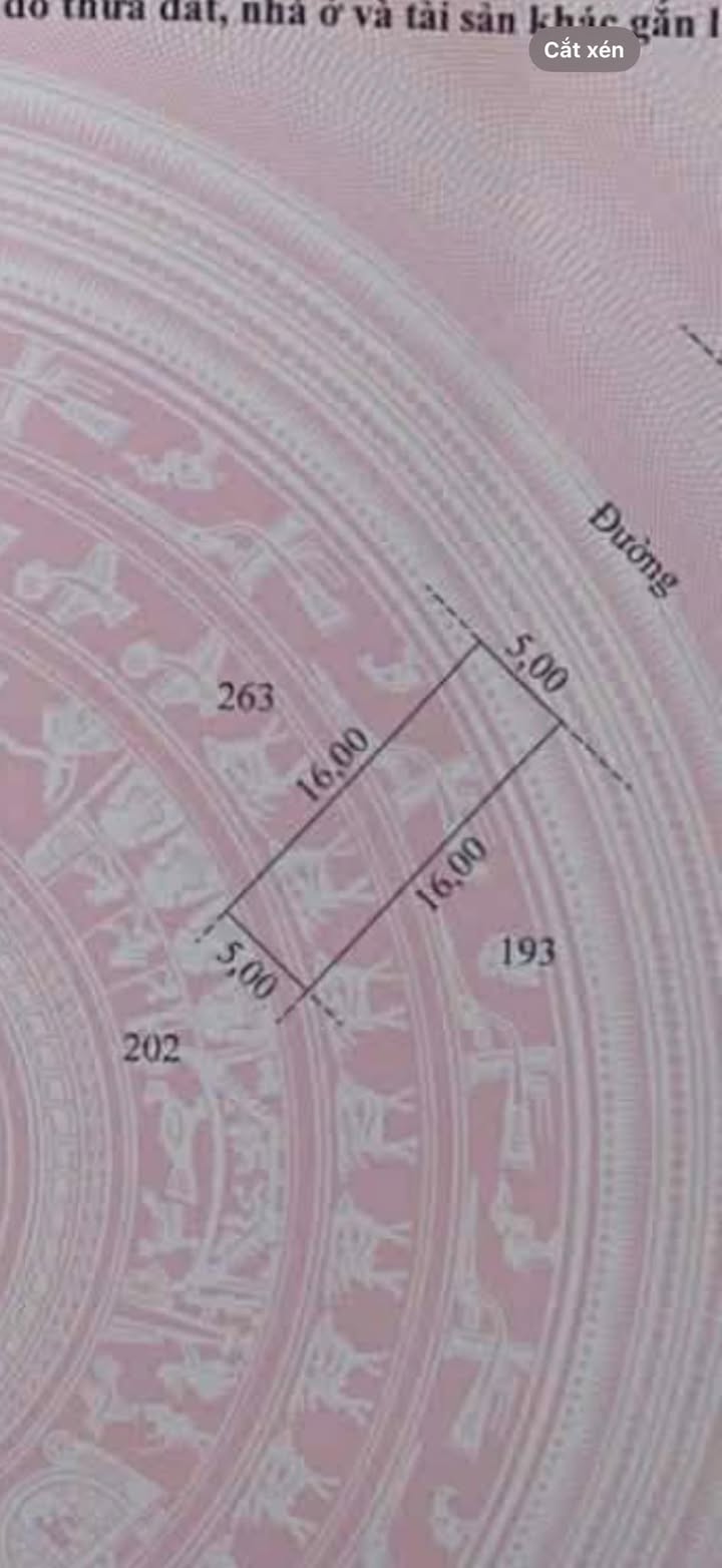 Lô đất Thôn Hoằng, Lạc Đạo 90m² hơn 6 tỷ - Sổ đỏ chính chủ