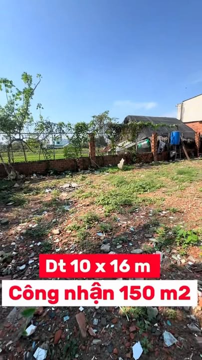 Đất Nền Hóc Môn 154m² Sổ Hồng Riêng - 2.8 Tỷ