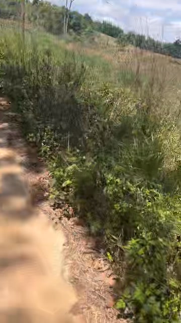 Bán Đất Nền 3600m² Đắk Nông - 800 Triệu, Sổ Đỏ Sẵn Sàng