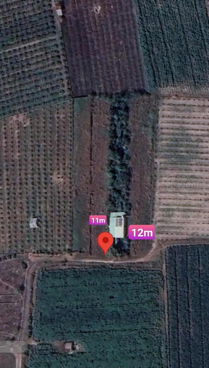 Đất nền 1430m² Ấp Thạnh Lợi, TP. Tây Ninh - Sổ đỏ chính chủ, view núi!