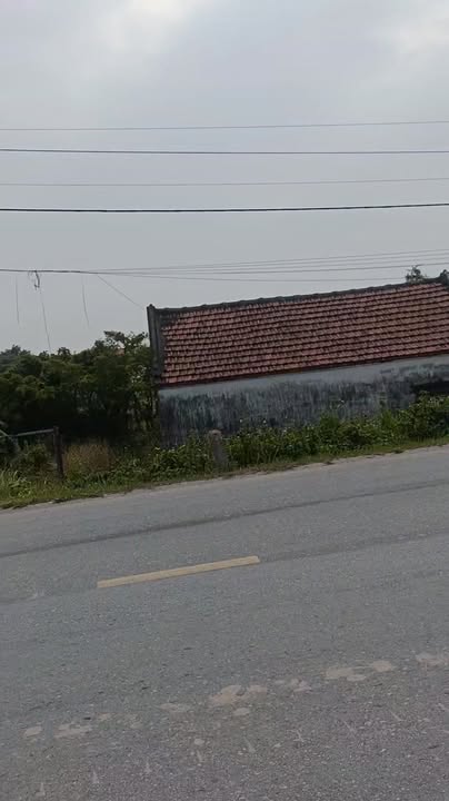 Đất nền Hải Hậu 200m² - Tiềm năng tăng giá vượt trội!