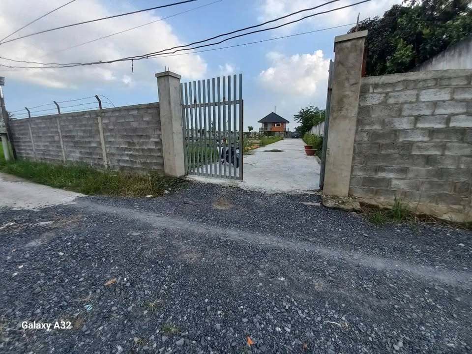 Đất Vườn Bến Lức 1635m² - Sổ Đỏ Vuông Vắn, Sẵn Sàng Xây Dựng