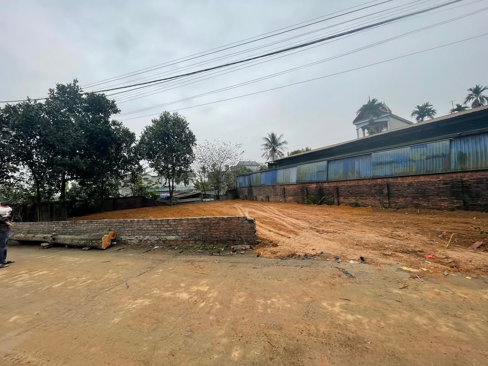 Đất Vàng Phú Cát 350m² Sổ Đỏ Chính Chủ - Sẵn Sàng Xây Dựng