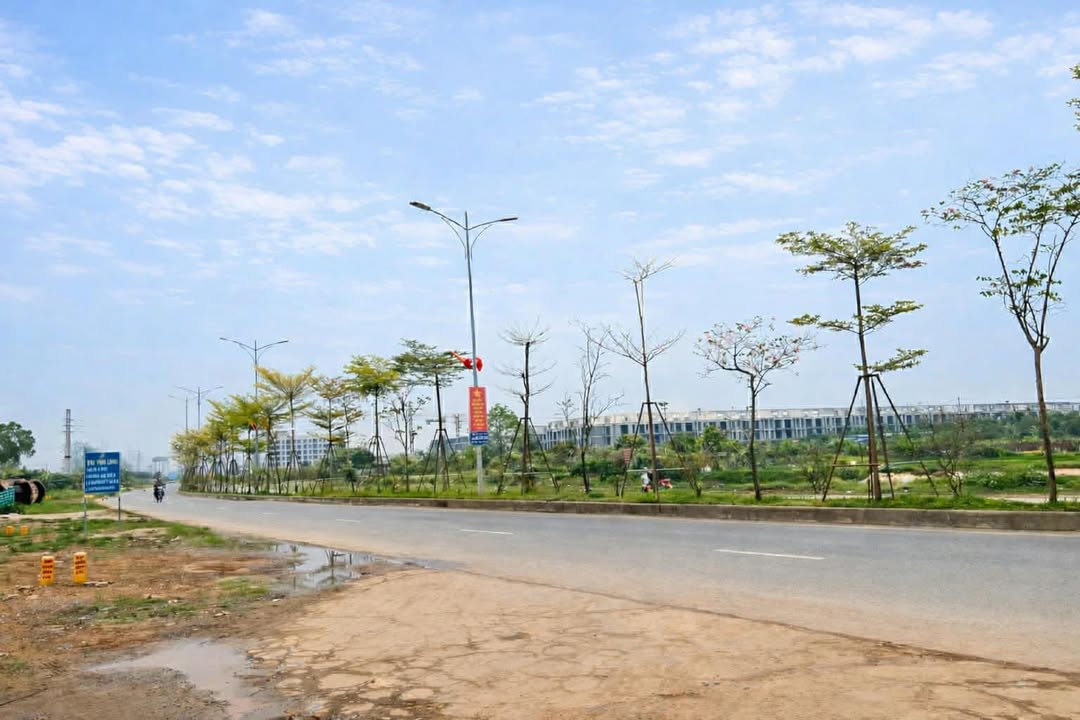 Đất nền Quang Minh 140m² 10m mặt tiền - Sổ đỏ chính chủ