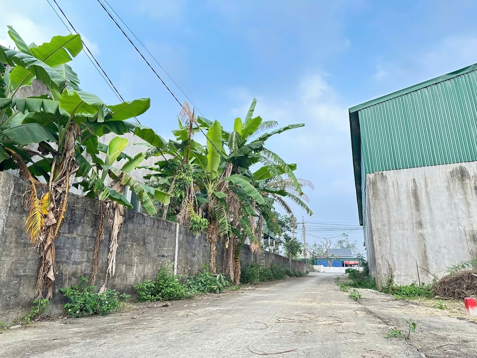 Đất Lô Góc Nghi Trung 100m² - Lối 2 Trục Liên Xã, Giá Chỉ 1 Tỷ