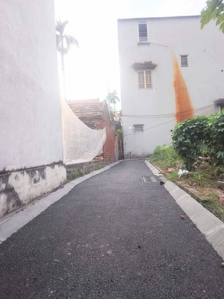 Đất Sổ Đỏ Mai Lâm, Đông Anh 50.6m² - Lô Góc Hai Mặt Tiền, Giá 2.2 Tỷ