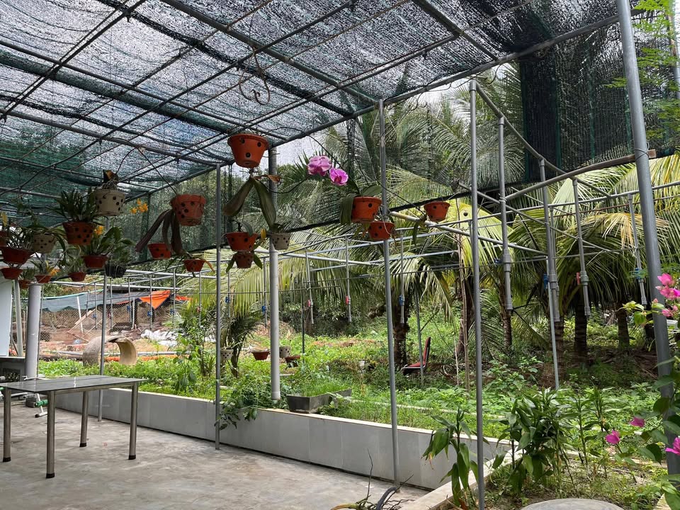 Bán Gấp Đất Vĩnh Phương, Nha Trang 2754m² - Giá Tốt Cần Chữa Bệnh