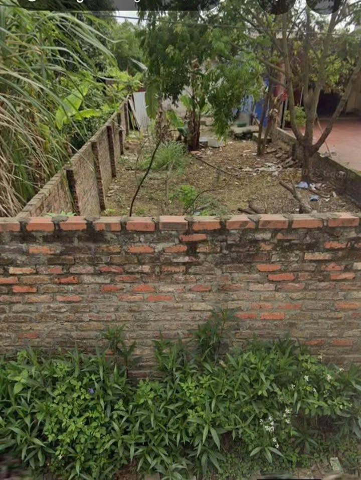 Đất nền Tự Lạn Việt Yên 100m² - Sổ đỏ chính chủ, xây tự do!