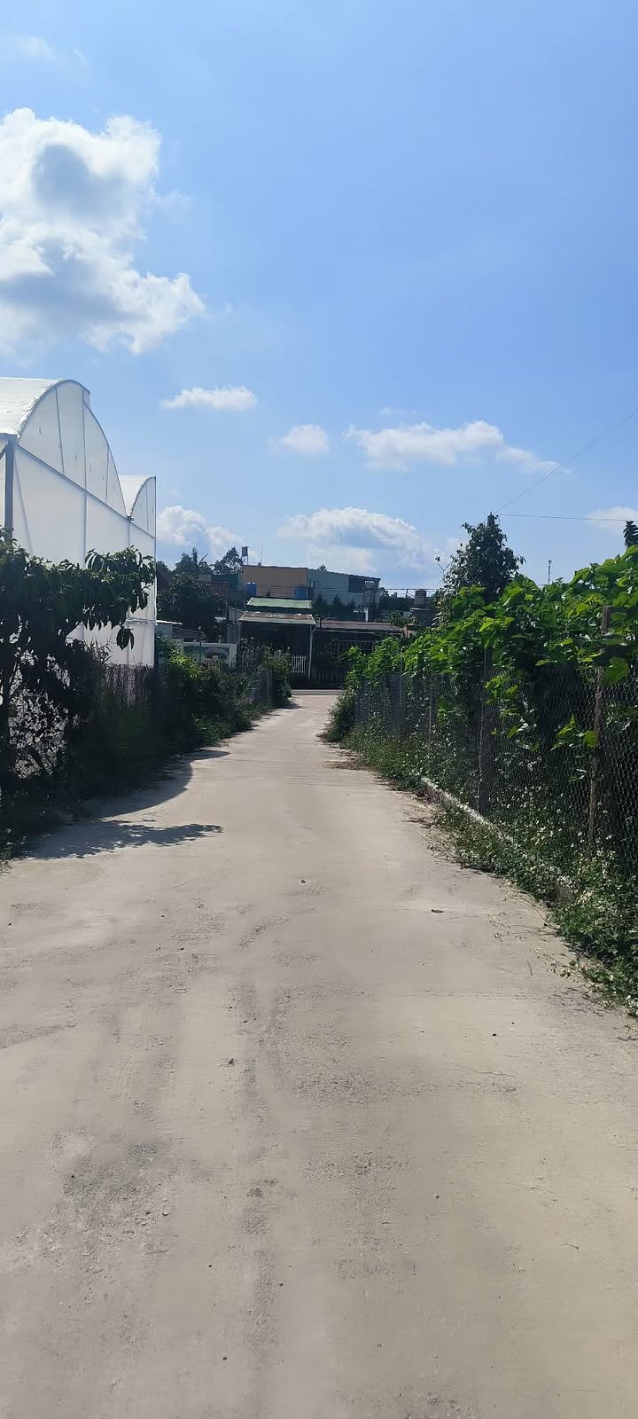 Bán Gấp Đất Vàng 1256m² Lộc Châu, Bảo Lộc - Full Thổ Cư, Sẵn Sổ