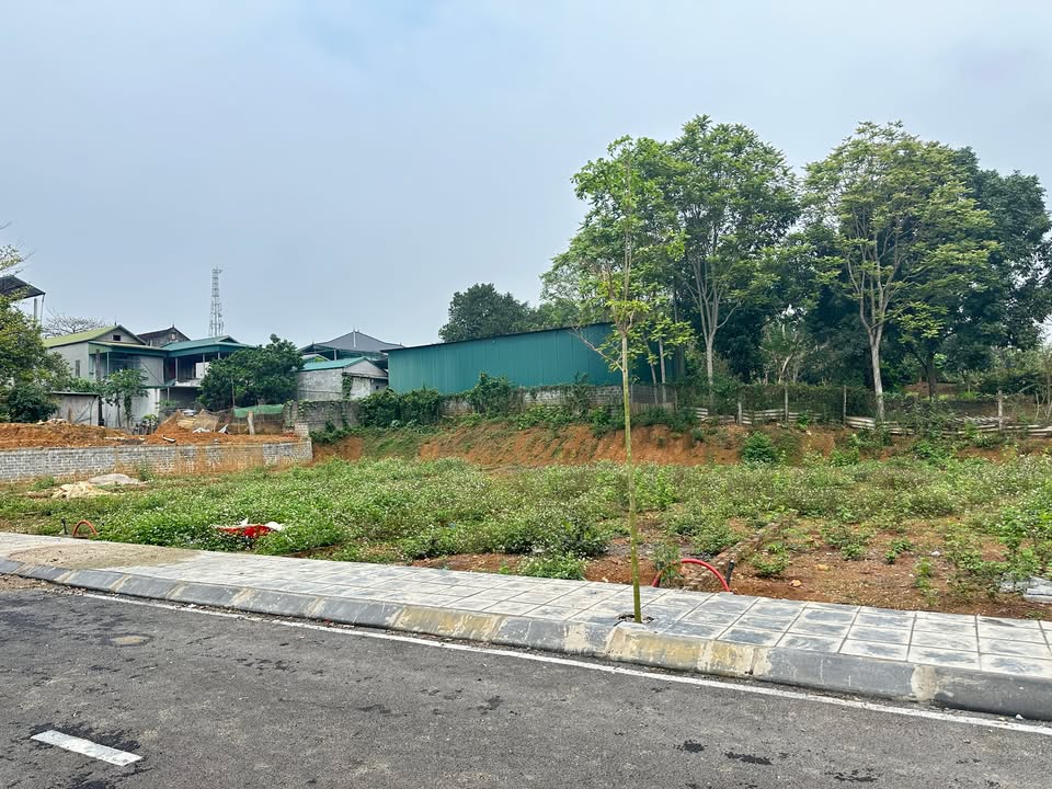 Đất nền Lạc Sơn Hoà Bình 100m² full thổ cư – Tiềm năng tăng giá!