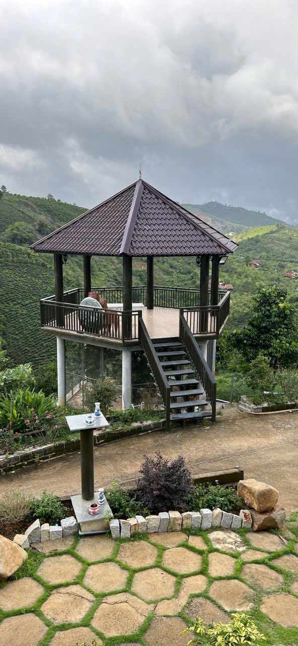 Farm Homstay View Đồi Bảo Lộc 5427m² - An Yên Tuyệt Đối