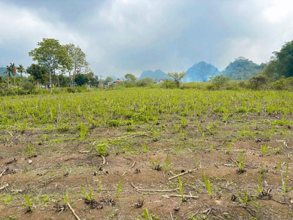 Bán Đất Nền Lạc Sơn 3400m² - Sổ Đỏ Sẵn Sàng, Gần Hồ Điều Hòa, Mặt Tiền Rộng