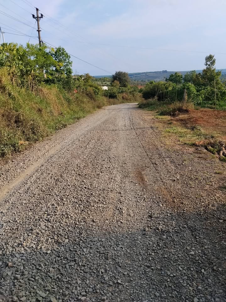 Đất nền Cư Né Krông Búk 5000m² - Tiềm năng tăng giá vượt trội!