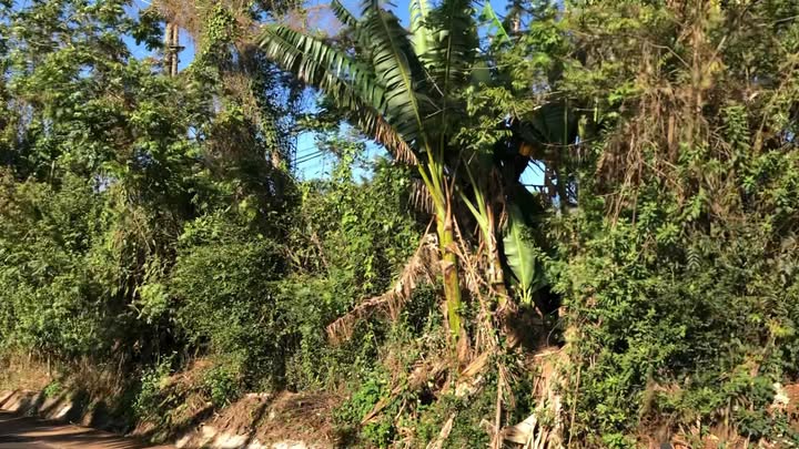 Đất nền Krông Pắc 2.503m² 320tr/m - Sổ đỏ chính chủ