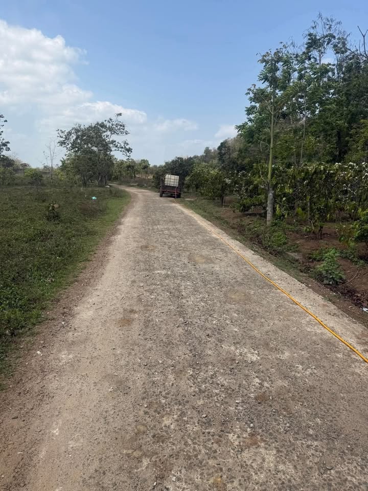 Đất Nền Cư Kuin, Đắk Lắk 3072m² - Giá 1.6 Tỷ, Sẵn Sàng Lập Trang Trại