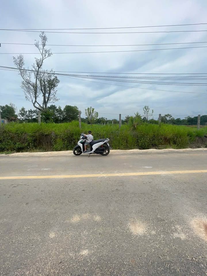 Đất Vàng Mặt Tiền Trương Định, Bảo Lộc - 504m² Thổ Cư, Giá Ngộp 1.75 Tỷ