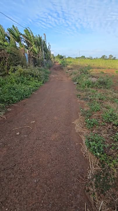 Nhà Mặt Tiền Quốc lộ 14A Chư Pưh 836m² - Mặt tiền kinh doanh đắc địa!