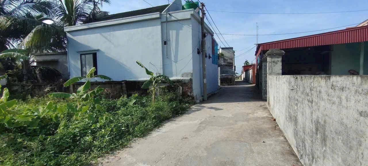 Đất nền Thôn Nam Tử, Tiên Lãng 85m² - Sổ đỏ chính chủ