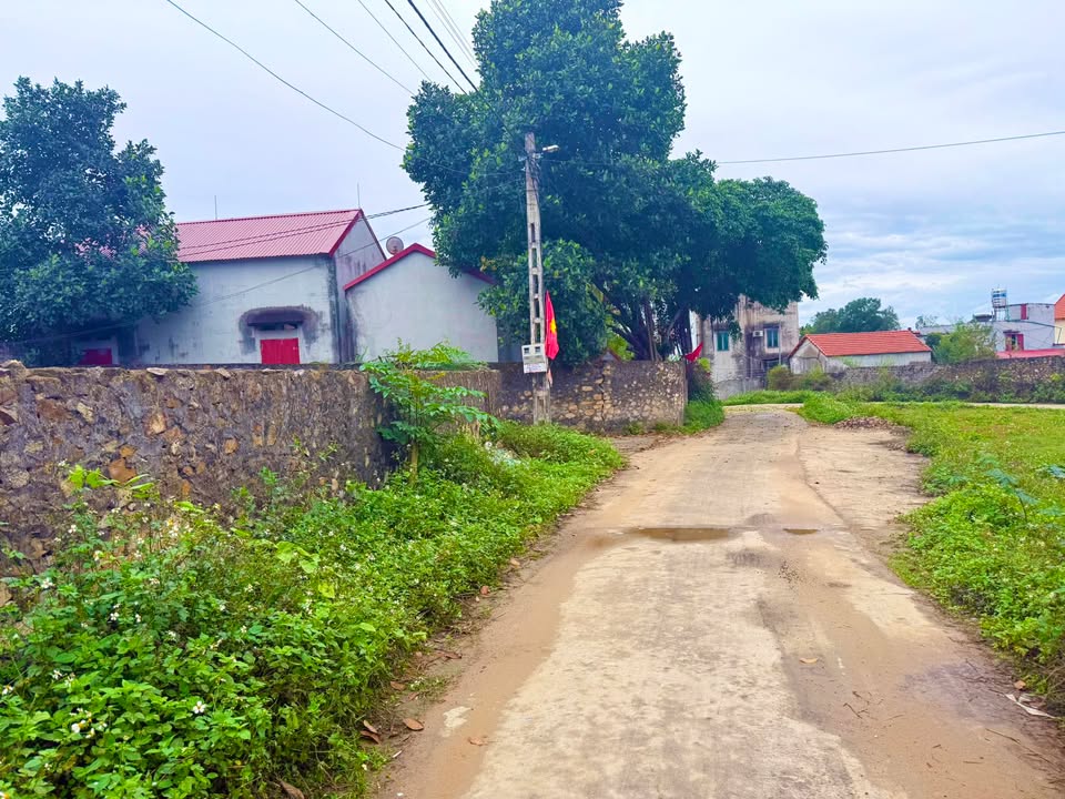 Đất Vàng Lục Nam 150m² - Mặt Tiền 6m - Gần KCN Lan Mẫu - 1 Tỷ