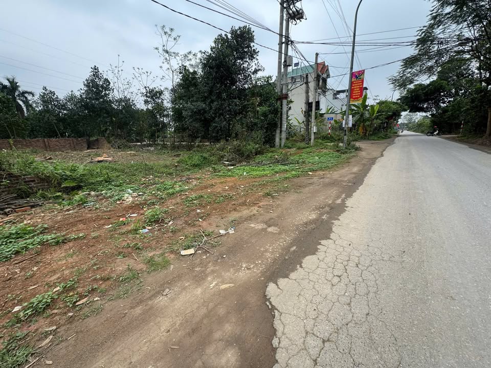 Đất Vành Đai Công Nghệ Cao Hòa Lạc 200m² - Đầu tư sinh lời