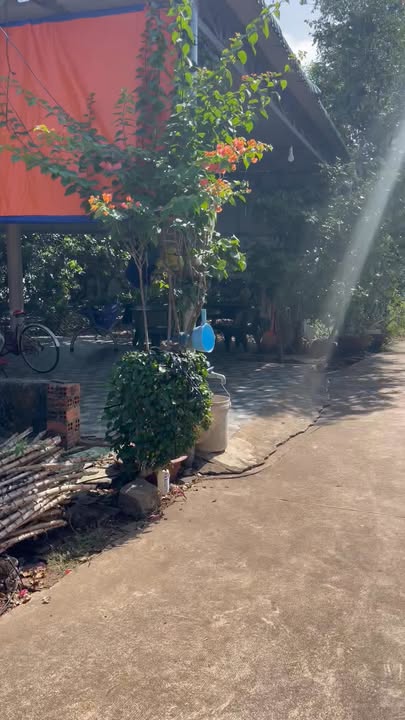 Đất nền Bảo Vinh Long Khánh 254m² - Sổ đỏ chính chủ, công chứng ngay!