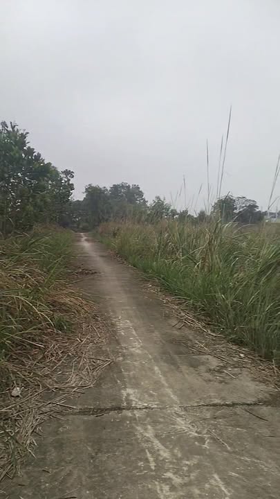 Đất nền Hoạt Giang, Hà Trung 300m² - Tiềm năng tăng giá vượt trội!