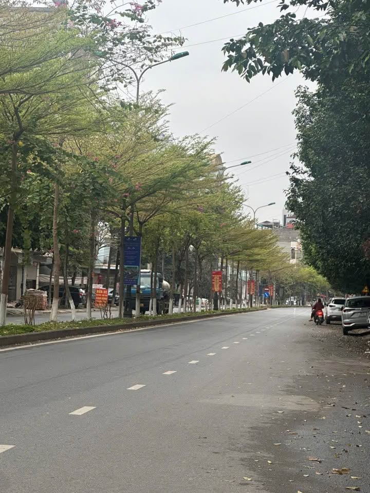 Đất Mặt Tiền Kinh Doanh Đường Bình Than, Bắc Ninh - 72m² Giá Tốt