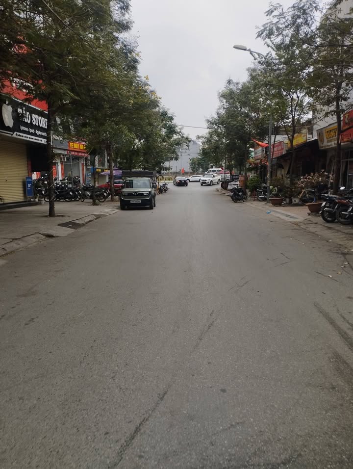 Đất nền Thiên Lộc - Kinh doanh đỉnh, 81m², ô tô tránh, gần trường C2 Kim Chung