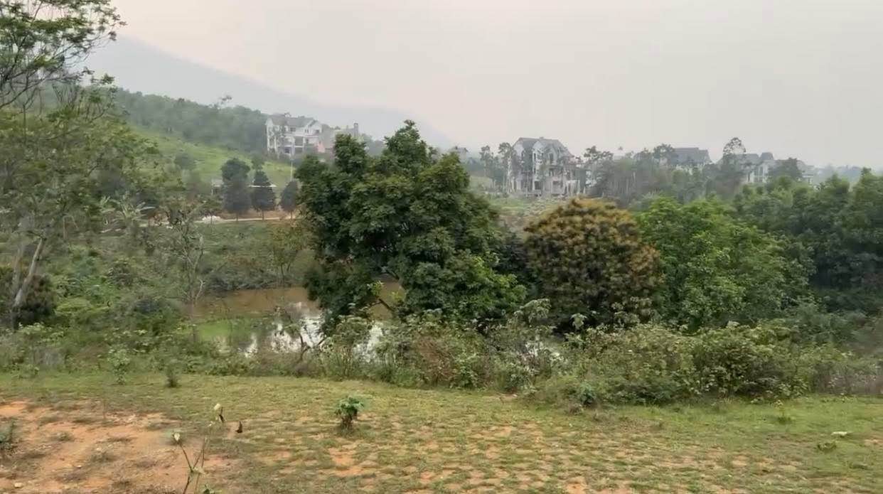 Đất Vườn Phú Cát 10.000m² - Giá 50 Tỷ - Không Gian Sinh Thái Xanh Hiếm Có