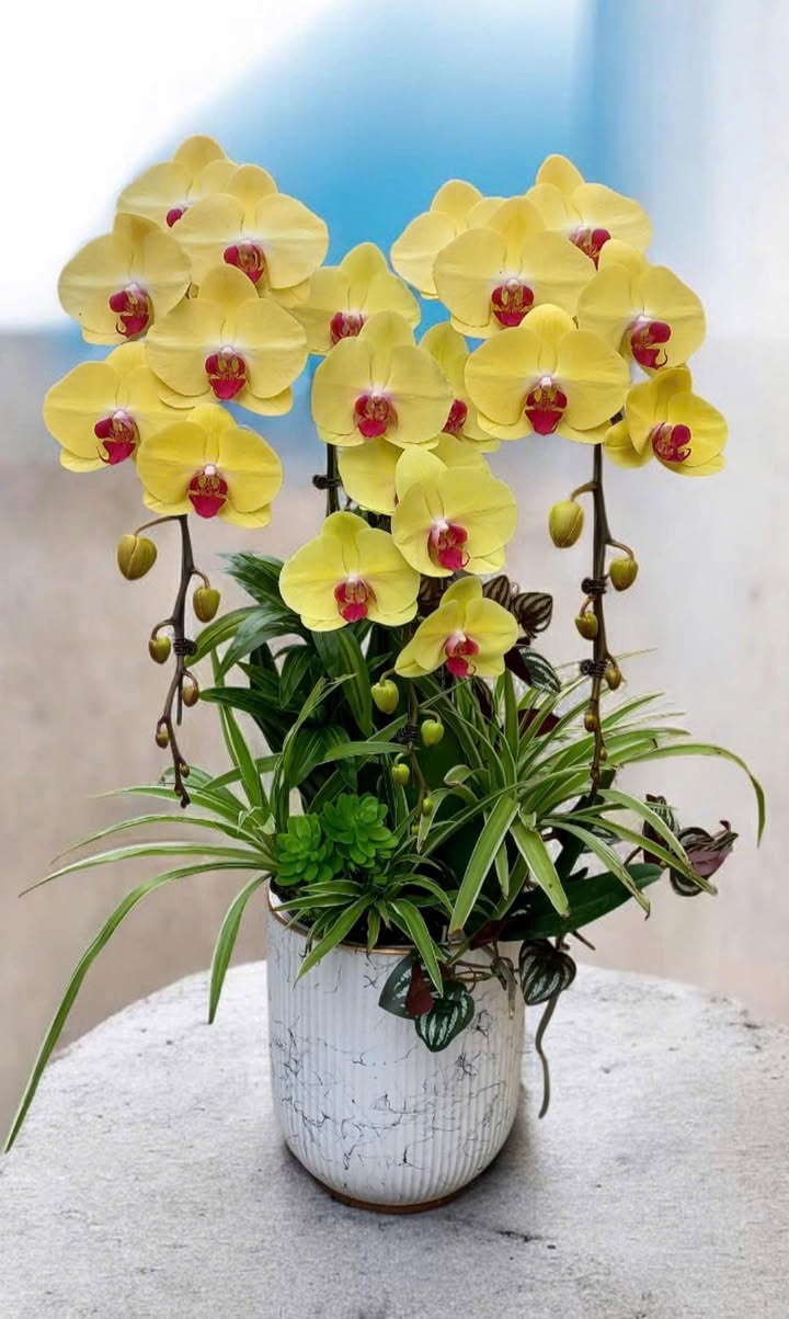 Đất nền Nguyễn Lương Bằng, Kiến An 151m² - Sổ đỏ chính chủ, đường 6 làn xe