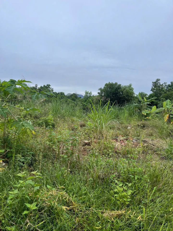 Đất nền Phường Thịnh Đán, TP. Thái Nguyên - 150m² - Giá đầu tư