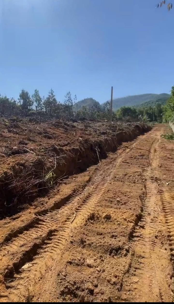 Đất Vườn 8000m² Phúc Thuận, Thái Nguyên - Sổ Đỏ Sẵn Sàng, Giá Đầu Tư 5 Tỷ